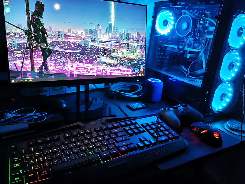 Gaming Setup